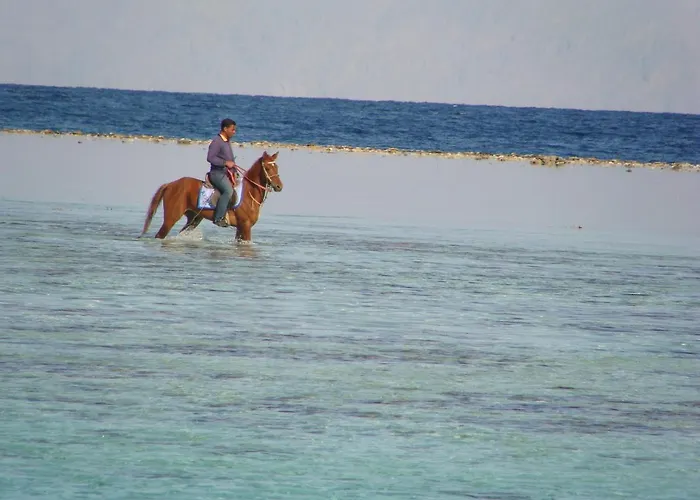 Boghdady * Dahab